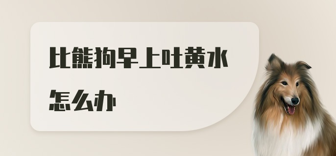 比熊狗早上吐黄水怎么办