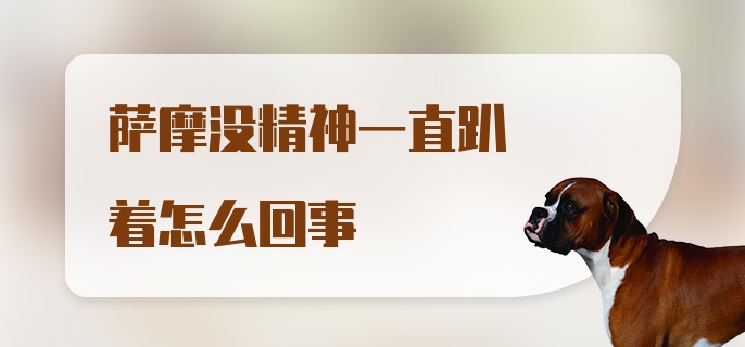 萨摩没精神一直趴着怎么回事