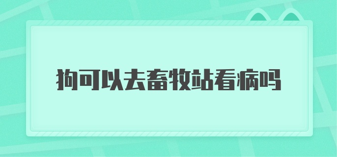 狗可以去畜牧站看病吗