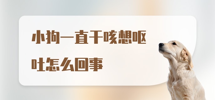 小狗一直干咳想呕吐怎么回事