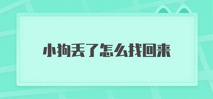 小狗丢了怎么找回来