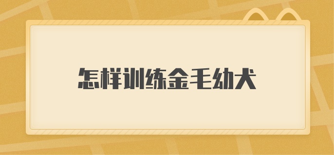 怎样训练金毛幼犬