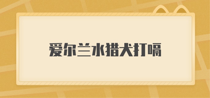 爱尔兰水猎犬打嗝