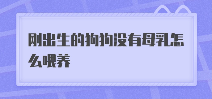 刚出生的狗狗没有母乳怎么喂养