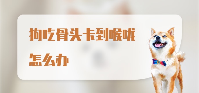 狗吃骨头卡到喉咙怎么办