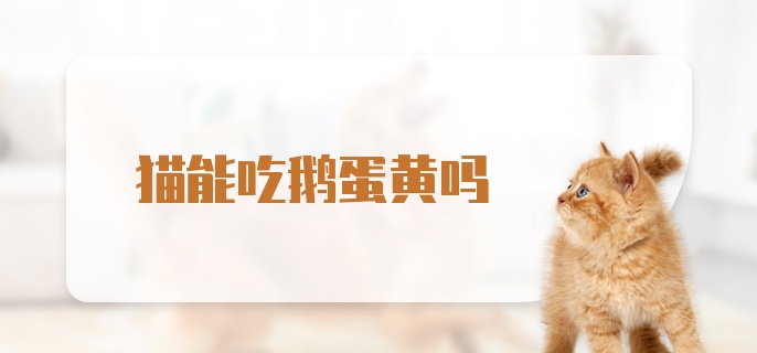 猫能吃鹅蛋黄吗