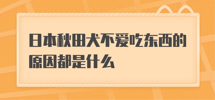 日本秋田犬不爱吃东西的原因都是什么