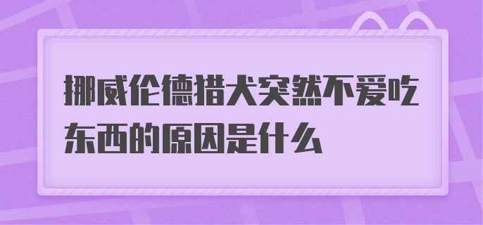 挪威伦德猎犬突然不爱吃东西的原因是什么