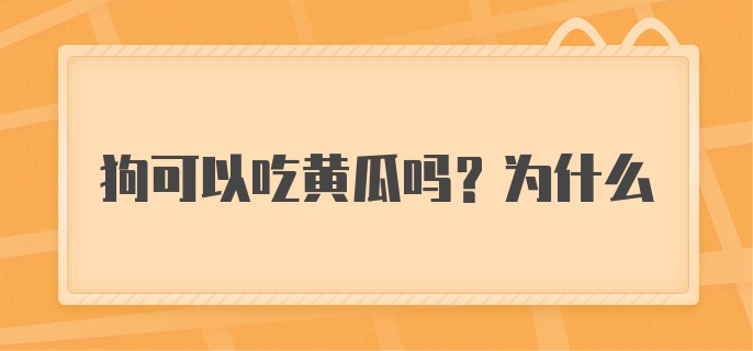 狗可以吃黄瓜吗?为什么