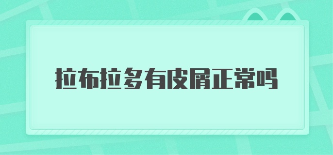 拉布拉多有皮屑正常吗