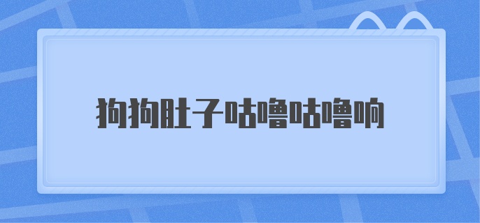 狗狗肚子咕噜咕噜响