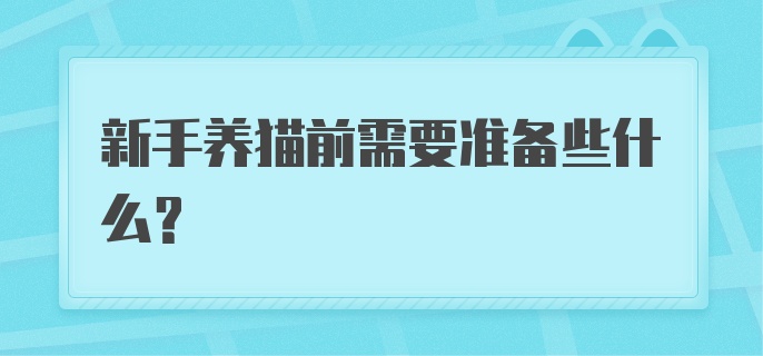 新手养猫前需要准备些什么？