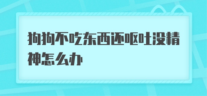 狗狗呕吐没有精神不吃东西怎么办