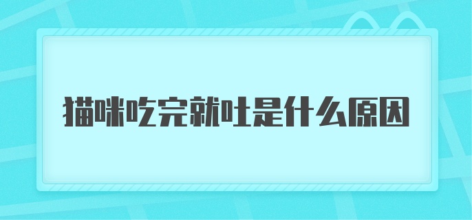 猫咪吃完就吐是什么原因