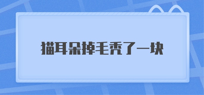 猫耳朵掉毛秃了一块