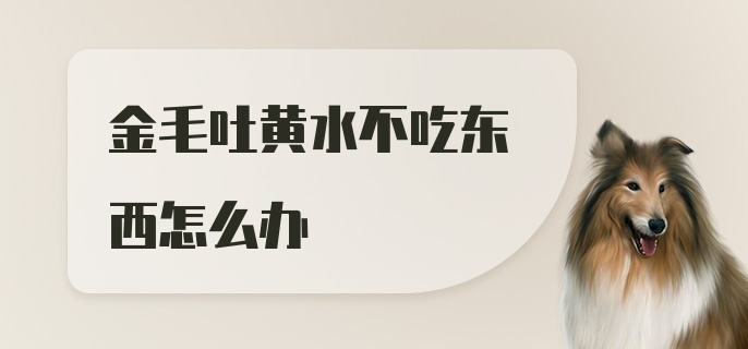 金毛吐黄水不吃东西怎么办