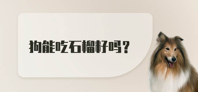 狗能吃石榴籽吗？