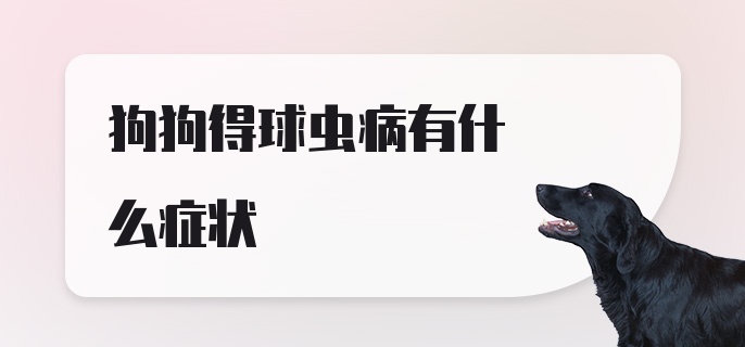 狗狗得球虫病有什么症状