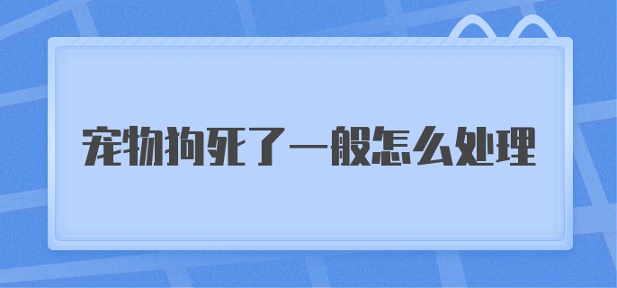 宠物狗死了一般怎么处理