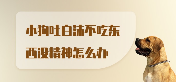 小狗吐白沫不吃东西没精神怎么办