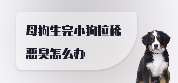 母狗生完小狗拉稀恶臭怎么办