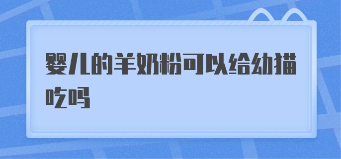 婴儿的羊奶粉可以给幼猫吃吗