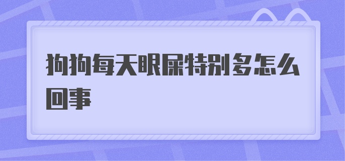 狗狗每天眼屎特别多怎么回事