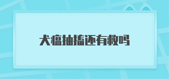 犬瘟抽搐还有救吗