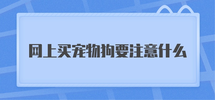 网上买宠物狗要注意什么