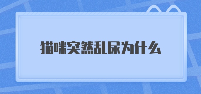 猫咪突然乱尿为什么