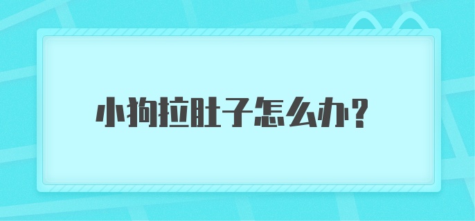 小狗拉肚子怎么办?