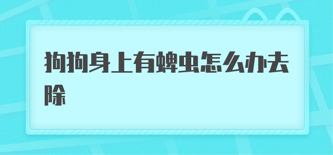 狗狗身上有蜱虫怎么办去除