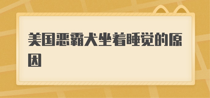 美国恶霸犬坐着睡觉的原因