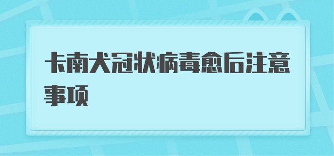 卡南犬冠状病毒愈后注意事项