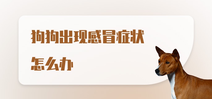 狗狗出现感冒症状怎么办