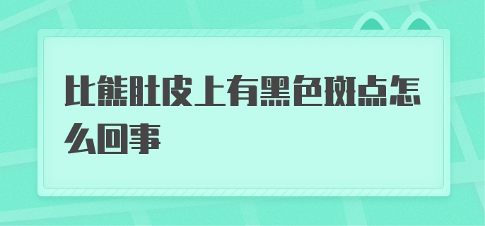 比熊肚皮上有黑色斑点怎么回事