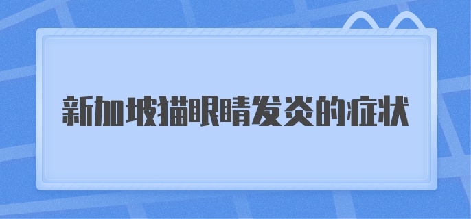 新加坡猫眼睛发炎的症状