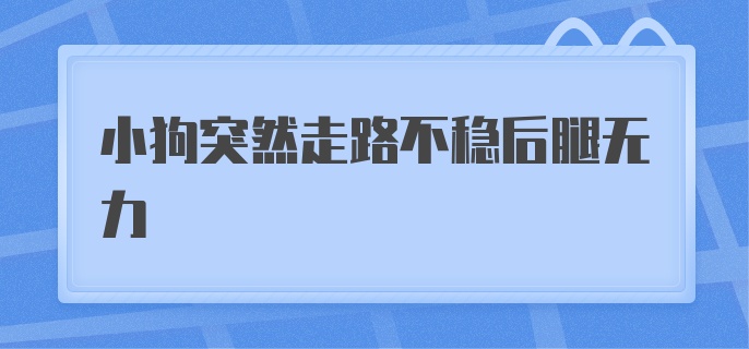 小狗突然走路不稳后腿无力