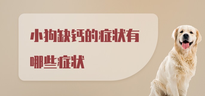 小狗缺钙的症状有哪些症状