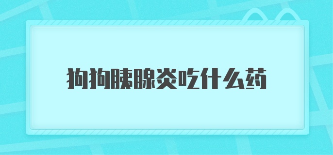 狗狗得胰腺炎吃什么药