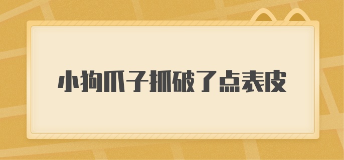 小狗爪子抓破了点表皮