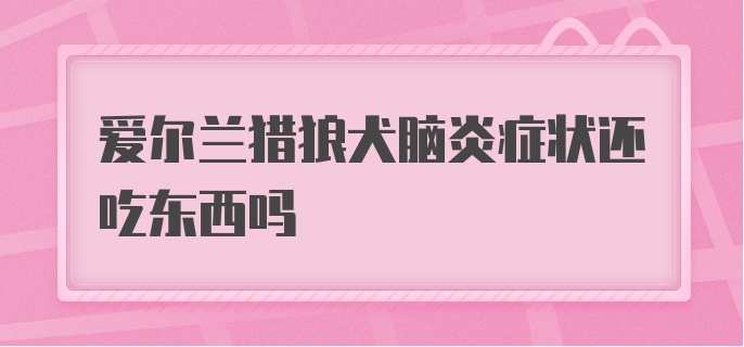 爱尔兰猎狼犬脑炎症状还吃东西吗