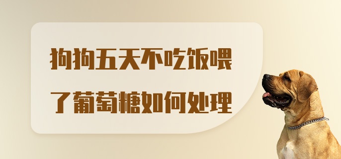 狗狗五天不吃饭喂了葡萄糖如何处理