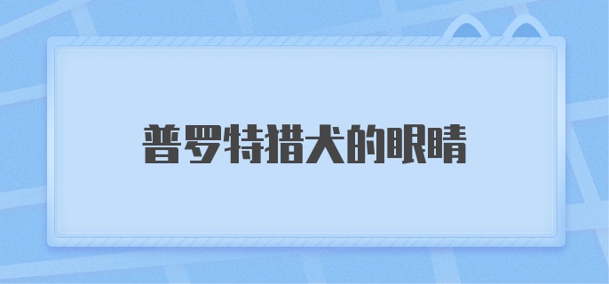 普罗特猎犬的眼睛