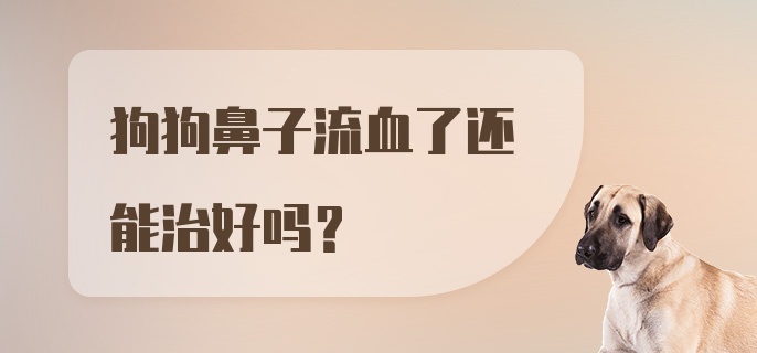 狗狗鼻子流血了还能治好吗？