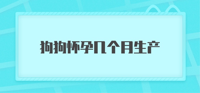 狗狗怀孕几个月生产