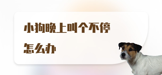 小狗晚上叫个不停怎么办