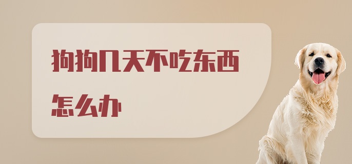 狗狗几天不吃东西怎么办