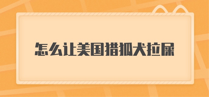 怎么让美国猎狐犬拉屎