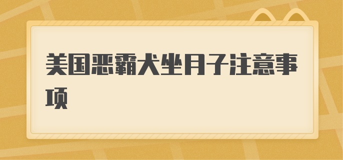 美国恶霸犬坐月子注意事项